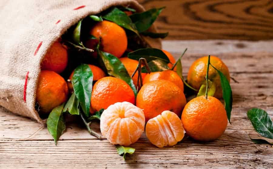 قیمت خرید نارنگی کینو + فروش ویژه